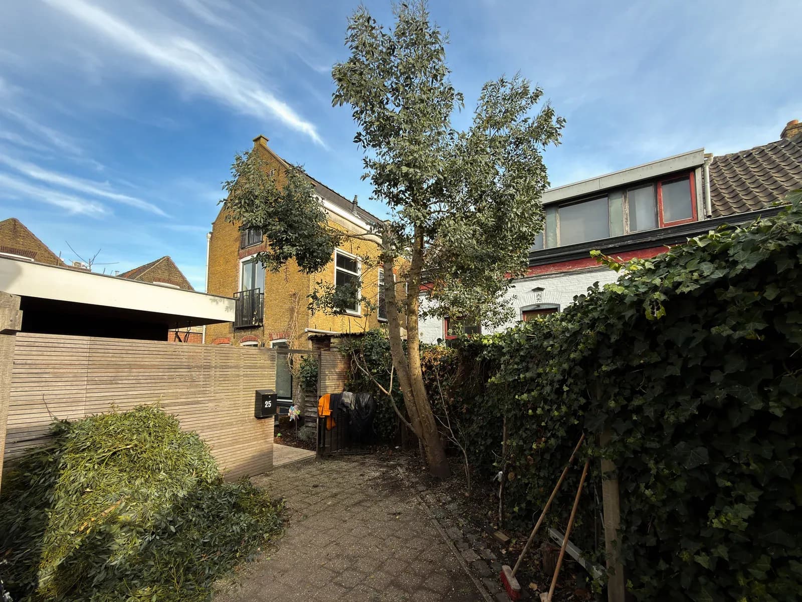 Hovenier snoeit een grote boom in een Haagse tuin - boomverzorging Den Haag