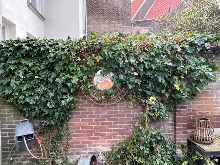 Tuinaanleg in Vogelwijk - tuinproject door Hovenier Eykelenboom