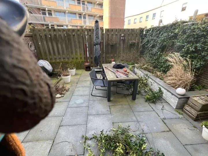 Verouderde Haagse tuin vóór de renovatie, met versleten bestrating en overgroeide borders