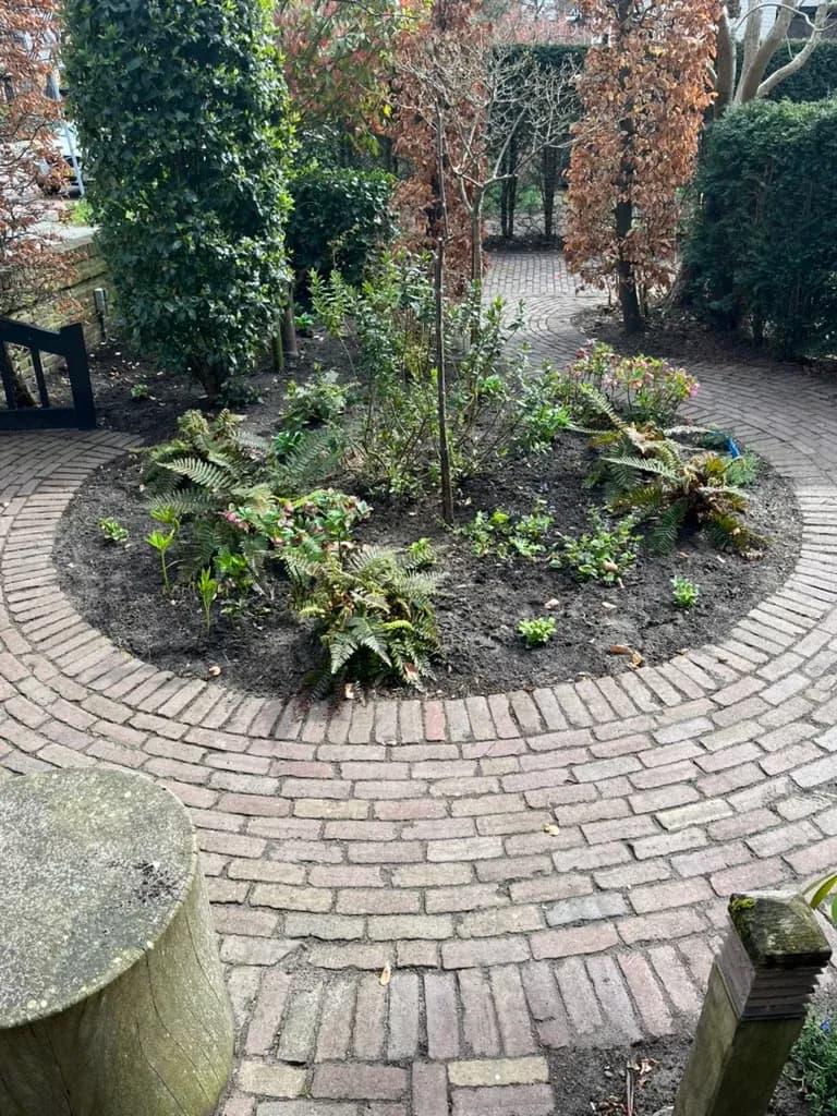 Strak gesnoeide haag in een Haagse tuin