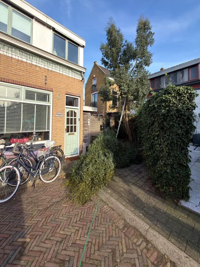 Boom verwijderen op een lastig bereikbare plek tussen woningen