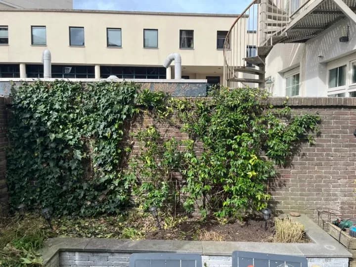Egaliseren van de ondergrond vlak vóór het leggen van de graszoden