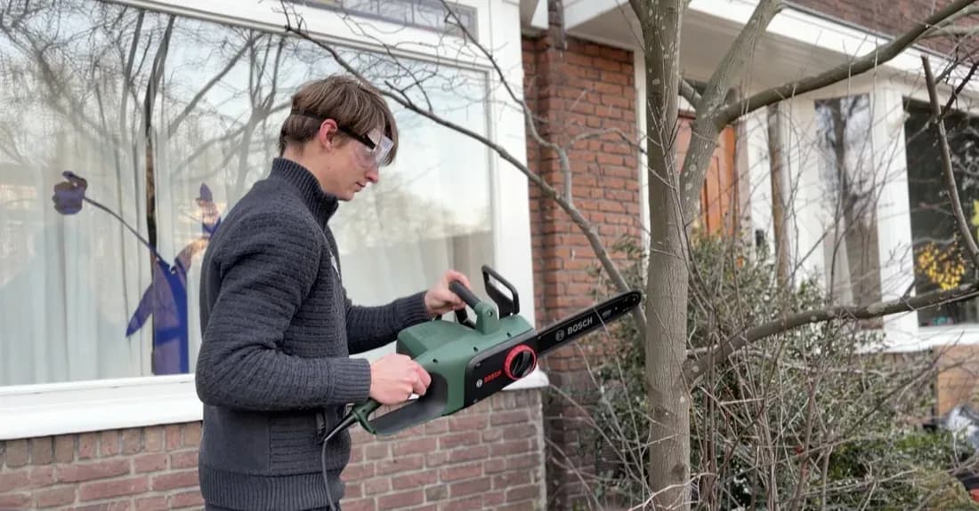 Het team voert snoeiwerk uit aan een boom met professioneel klimmateriaal